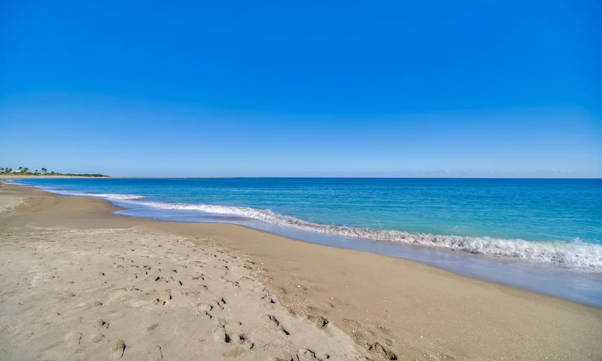 78e756d5-2370-4e95-9d3f-3f97f4d8c26c