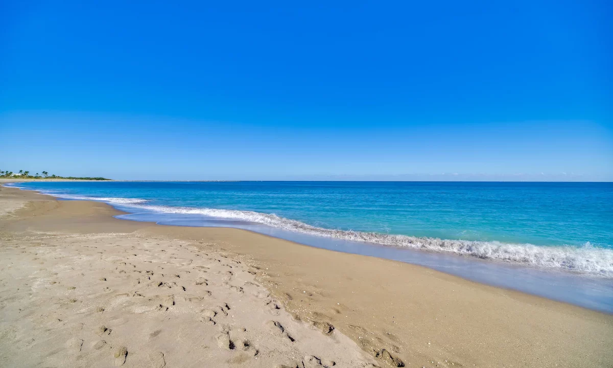 f86ab9a4-2aaf-46ac-9a59-2f78790ffa7e